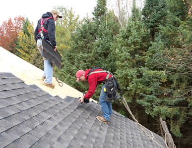 Platinum Roofing contractors working on repairing a roof by replacing shingles.
